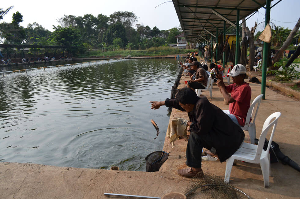 5 Recomendasi Kolam Pemancingan Bawal Tangerang